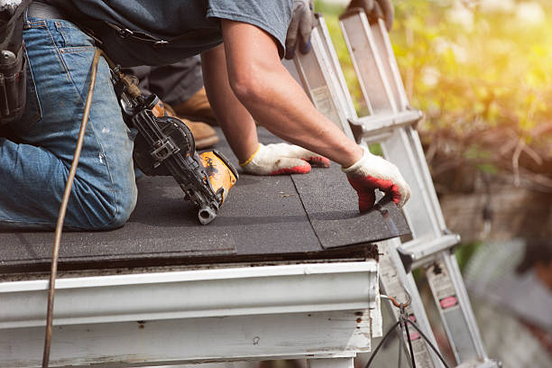Best Flat Roof Repair Services  in Assumption, IL